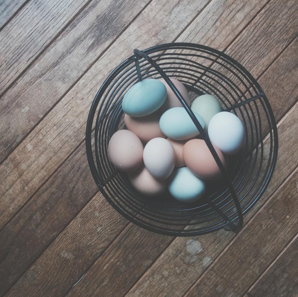 Chicks