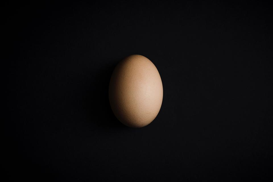 Poultry Farm