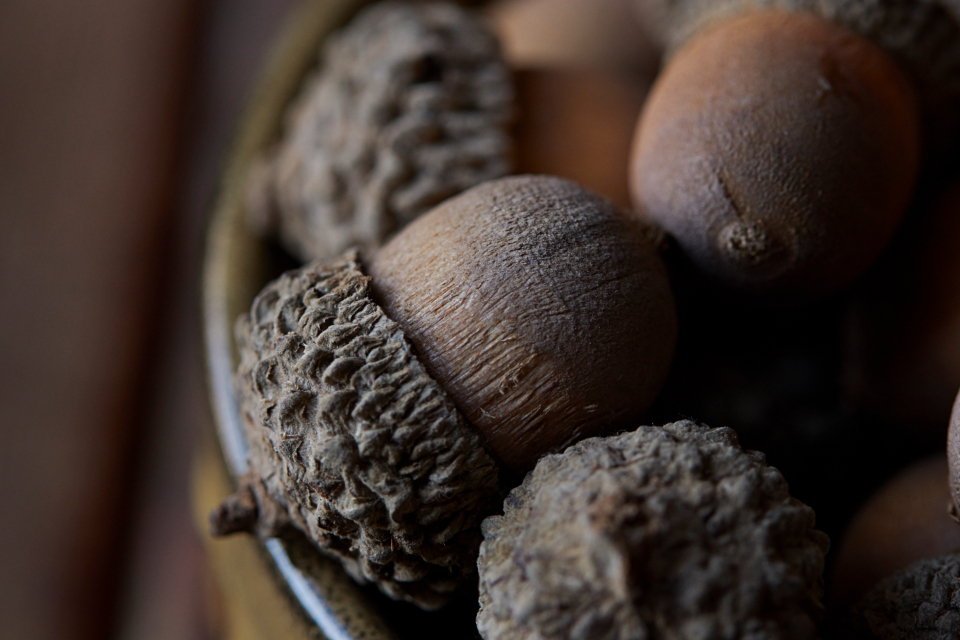 Raw Almonds