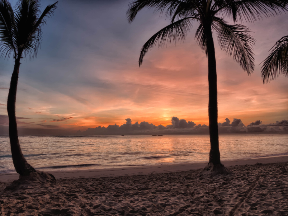 canary islands escape islands