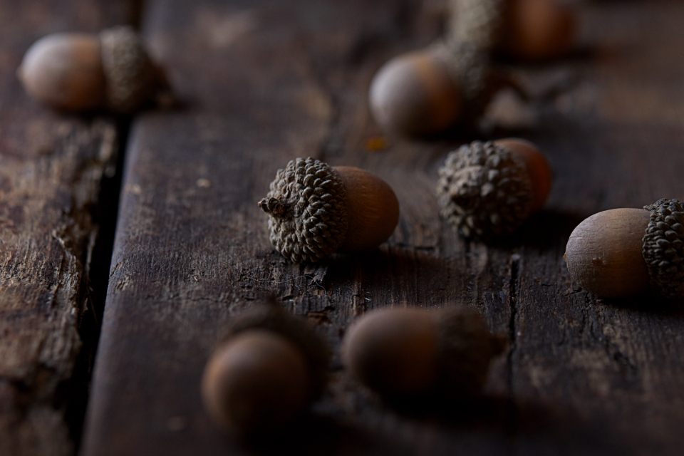 raw almonds nuts & seeds