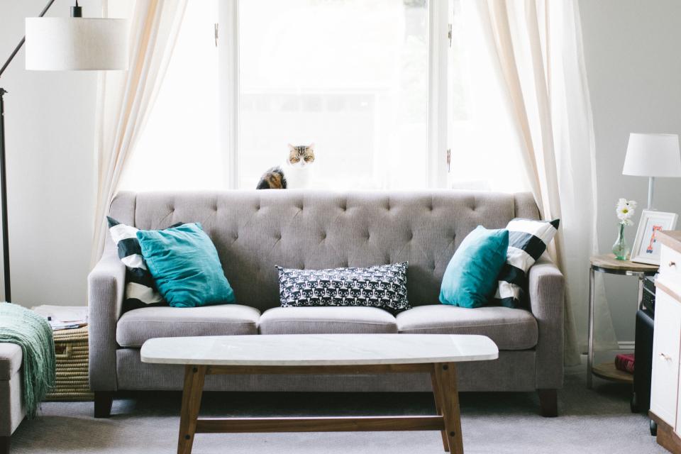 velvet chesterfield sofas